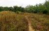 Conducting archaeological excavations at Hau Xa I site and Hau Xa II site in Thanh Ha ward, Hoi An city