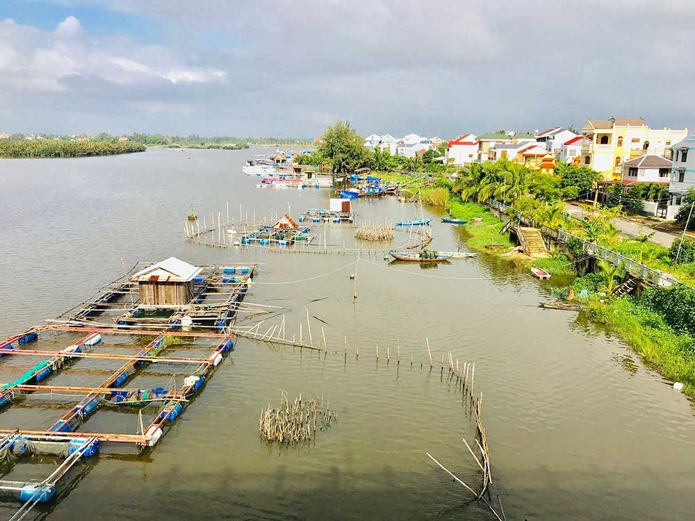 nuoi ca hoi an