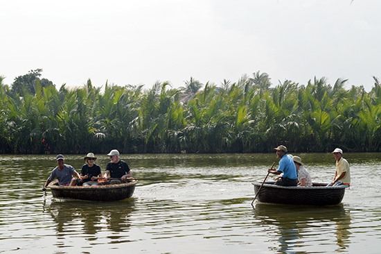 rung dau bay mau