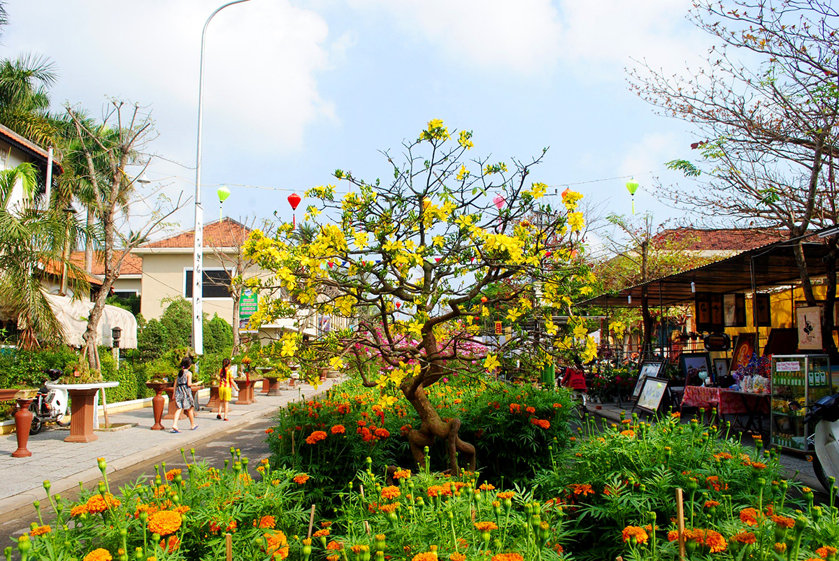 hoi tet hoa xuan