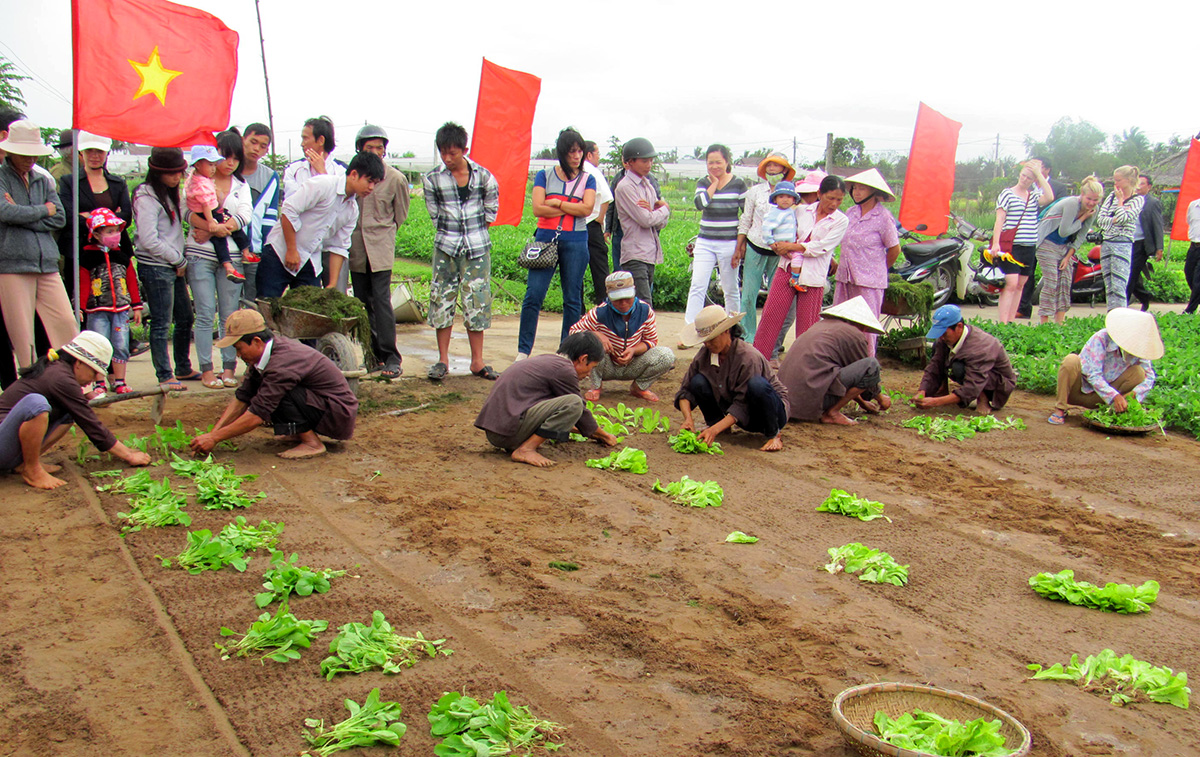 tham quan lang rau tra que