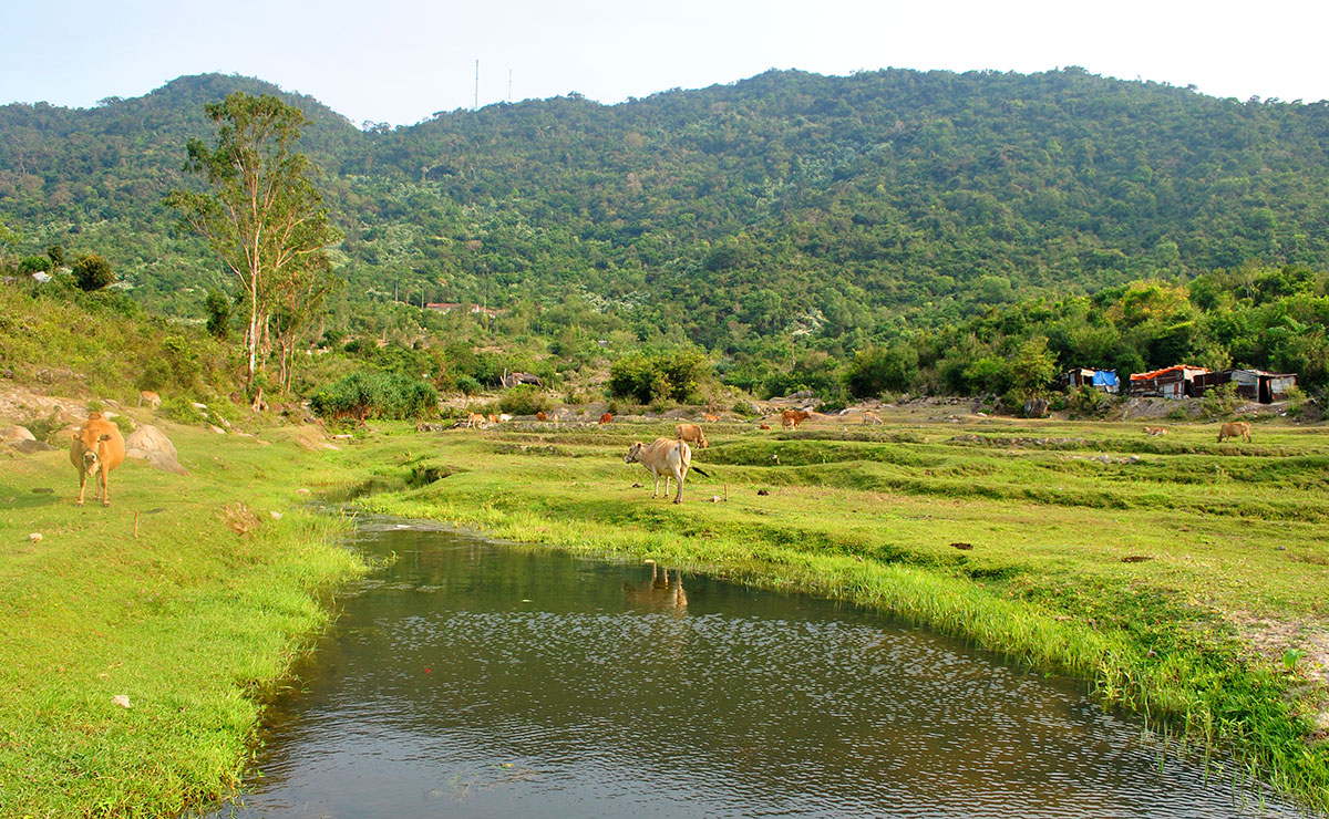 he thuy co cu lao cham